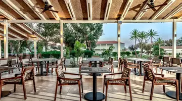 Domes Aulus Zante, Autograph Collection