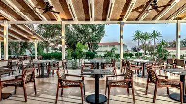 Domes Aulus Zante, Autograph Collection