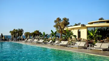 Domes Aulus Zante, Autograph Collection