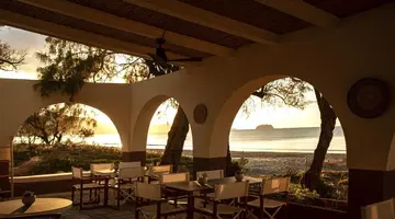 Domes Aulus Zante, Autograph Collection