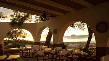 DOMES AULUS ZANTE, AUTOGRAPH COLLECTION