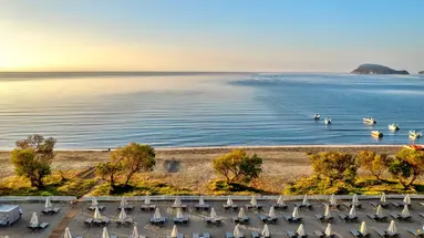 Domes Aulus Zante, Autograph Collection