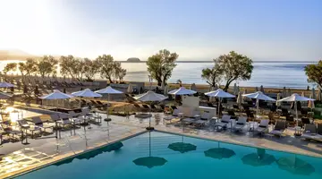Domes Aulus Zante, Autograph Collection