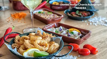 DOMES NORUZ CHANIA, AUTOGRAPH COLLECTION Adults Only 16+