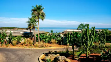 Domes Zeen Chania, a Luxury Collection Resort