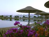 Domina Coral Bay Kings Lake Sharm El Sh
