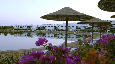 Domina Coral Bay Kings Lake Sharm El Sh