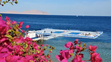 Domina Coral Bay Oasis Sharm El Sheikh