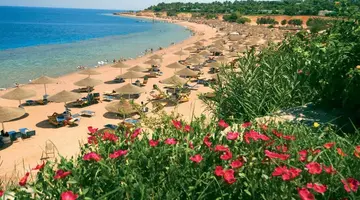 Domina Coral Bay Oasis Sharm El Sheikh