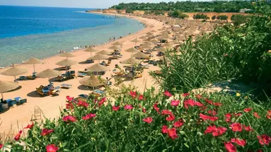 Domina Coral Bay Oasis Sharm El Sheikh