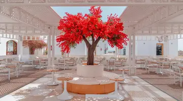Domina Coral Bay Prestige
