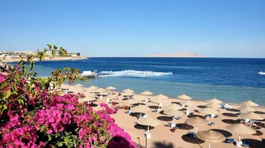 Domina Coral Bay Sultan Pool