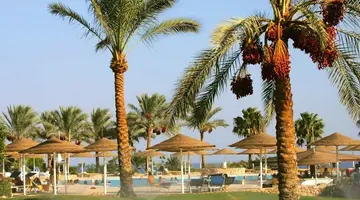 Domina Coral Bay Sultan