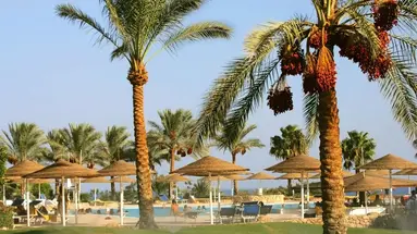 Domina Coral Bay Sultan