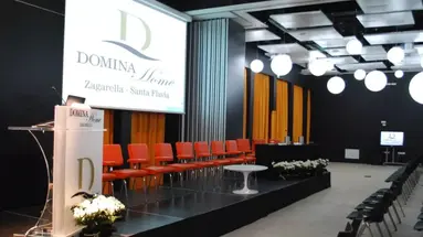 Domina Zagarella