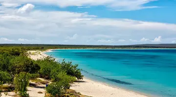 Dominicana completa