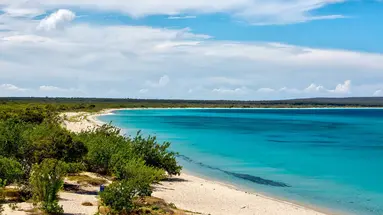 Dominicana completa