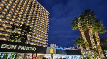 Don Pancho (Designed for adults)