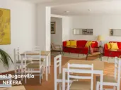 Dorisol Buganvilia Studio Hotel