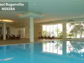 Dorisol Buganvilia Studio Hotel