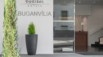 Dorisol Buganvilia
