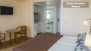 Dorisol Mimosa Studio Hotel