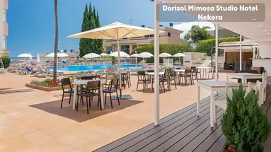 Dorisol Mimosa Studio Hotel
