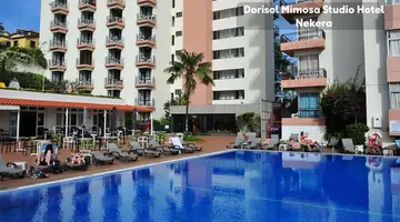 Dorisol Mimosa Studio Hotel