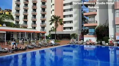 Dorisol Mimosa Studio Hotel