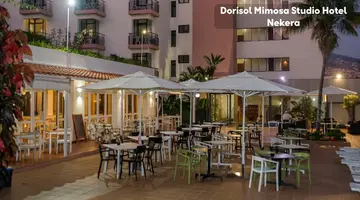 Dorisol Mimosa Studio Hotel