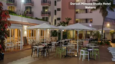 Dorisol Mimosa Studio Hotel