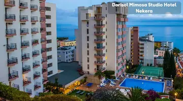 Dorisol Mimosa Studio Hotel