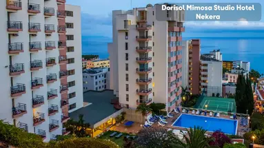 Dorisol Mimosa Studio Hotel