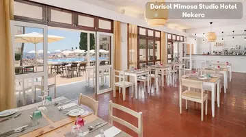 Dorisol Mimosa Studio Hotel