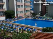Dorisol Mimosa Studio Hotel