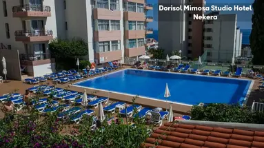 Dorisol Mimosa Studio Hotel