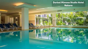 Dorisol Mimosa Studio Hotel