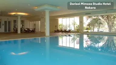 Dorisol Mimosa Studio Hotel