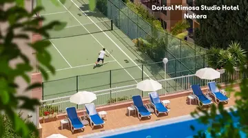 Dorisol Mimosa Studio Hotel
