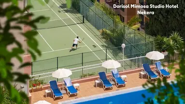 Dorisol Mimosa Studio Hotel