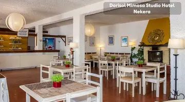 Dorisol Mimosa Studio Hotel