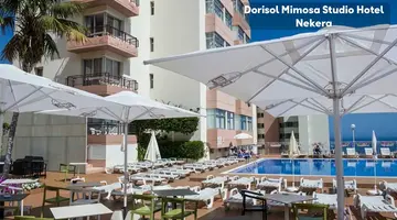 Dorisol Mimosa Studio Hotel