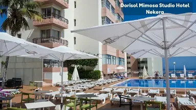 Dorisol Mimosa Studio Hotel