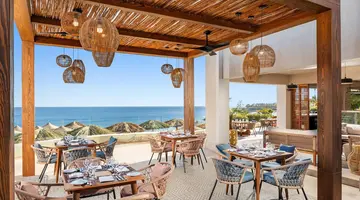Double Tree By Hilton Sharks Bay Beach S