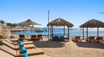 Double Tree By Hilton Sharks Bay Beach S
