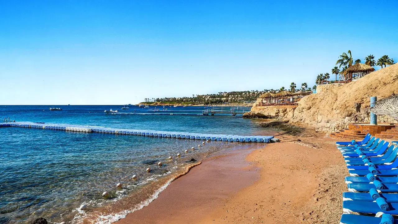 Double Tree By Hilton Sharks - Beach Side