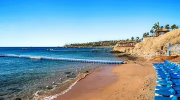 Double Tree By Hilton Sharks - Beach Side