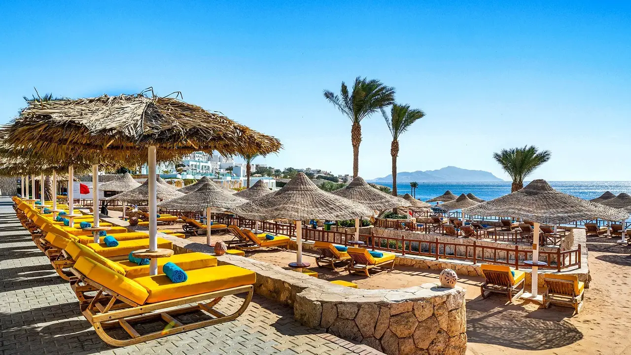 Double Tree By Hilton Sharks - Beach Side