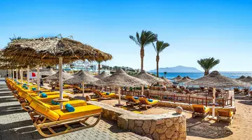 Double Tree By Hilton Sharks - Beach Side