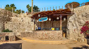 Double Tree By Hilton Sharks - Beach Side